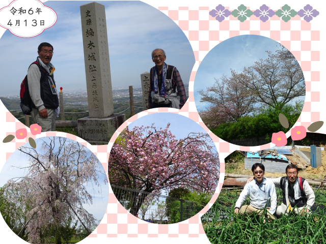 上赤坂城跡と玉ねぎ畑と春の花