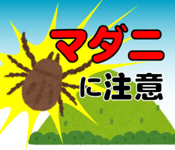 マダニに注意2