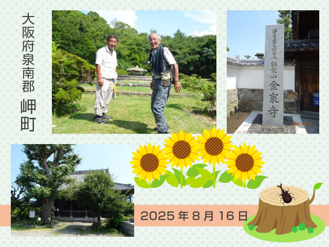 大阪府岬町　海沿いをウォーキング④